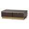 Baxton Studio Cormac Transitional Dark Brown Finished Wood and Gold Metal 2-Drawer Coffee Table 208-12137 - alternate 2